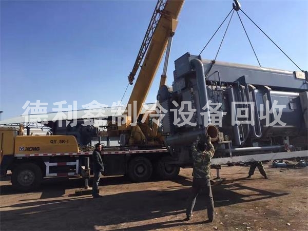 豸գ廯﮻